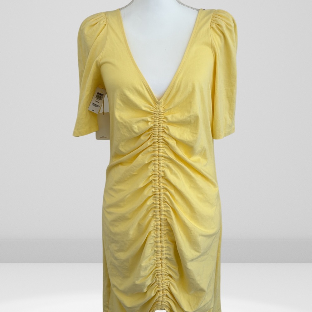 Wilfred Aritzia Nissa Ruched Mini Dress